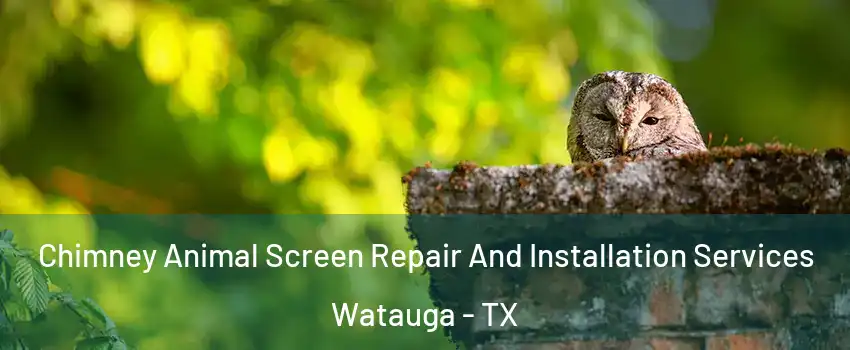  Chimney Animal Screen Repair And Installation Services Watauga - TX