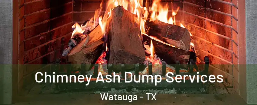  Chimney Ash Dump Services Watauga - TX