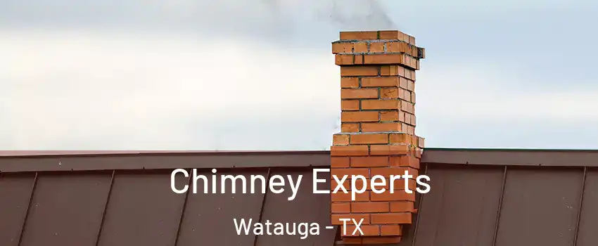 Chimney Experts Watauga - TX