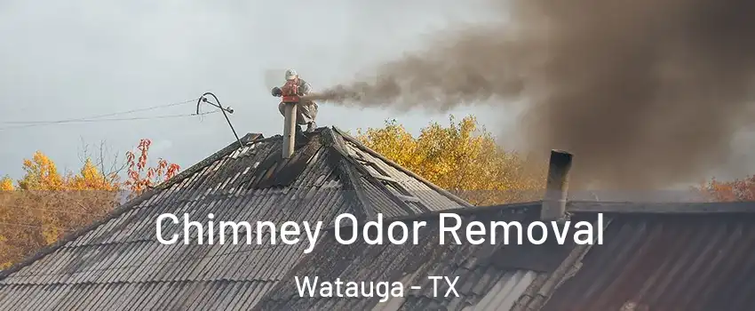  Chimney Odor Removal Watauga - TX