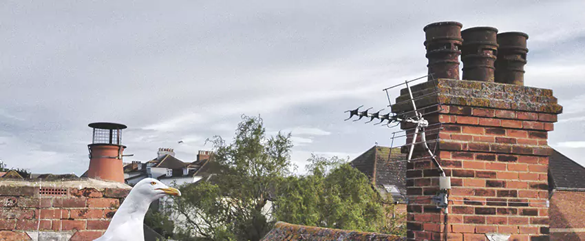 Chimney Cleaning And Restoration in Watauga, Texas