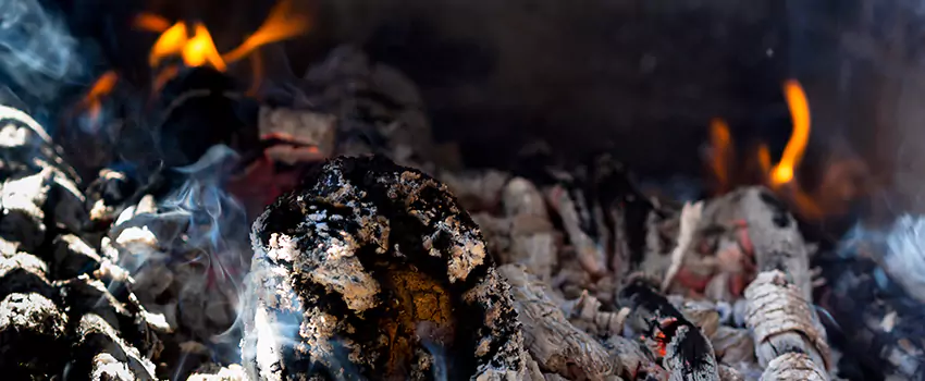 Creosote Removal Experts in Watauga, TX