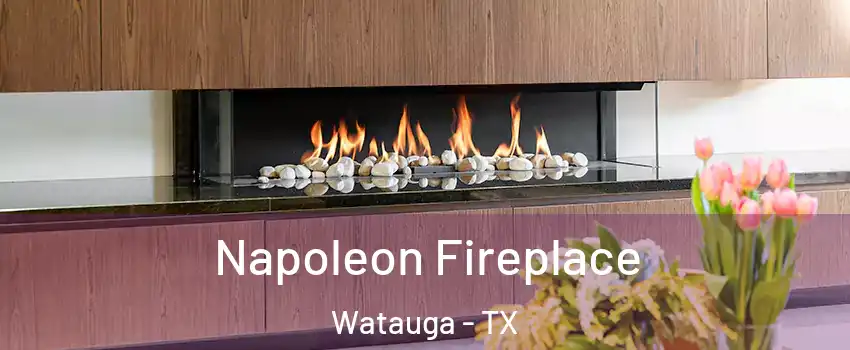  Napoleon Fireplace Watauga - TX