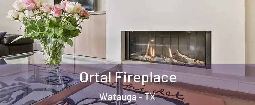 Ortal Fireplace Watauga - TX
